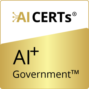 AI+ Government